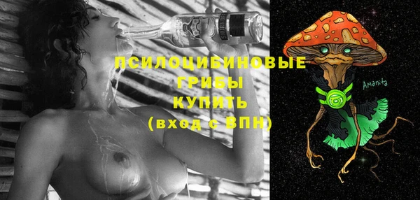 ГАЛЛЮЦИНОГЕННЫЕ ГРИБЫ Белоозёрский