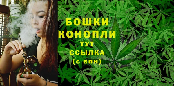 ГАЛЛЮЦИНОГЕННЫЕ ГРИБЫ Белоозёрский