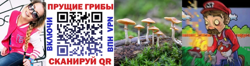 купить наркотик  Фролово  Галлюциногенные грибы ЛСД 